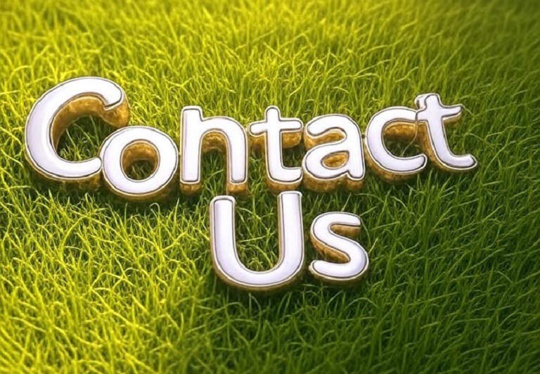 Contact us